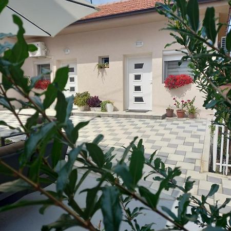 Leda Apartmani Σμεντέρεβο Εξωτερικό φωτογραφία