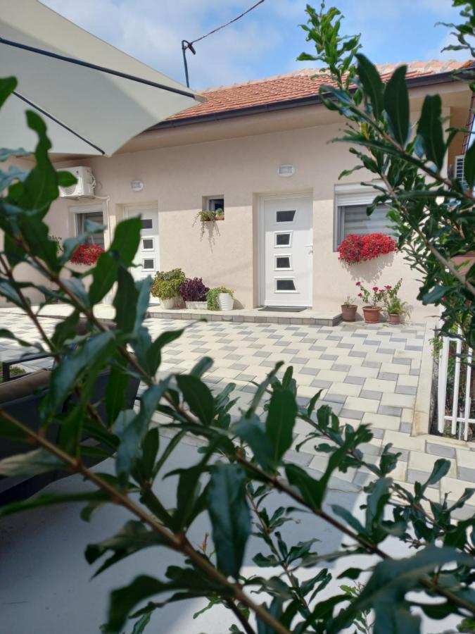 Leda Apartmani Σμεντέρεβο Εξωτερικό φωτογραφία