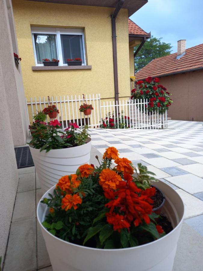 Leda Apartmani Σμεντέρεβο Εξωτερικό φωτογραφία